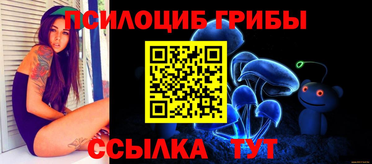Псилоцибиновые грибы прущие грибы Кушва